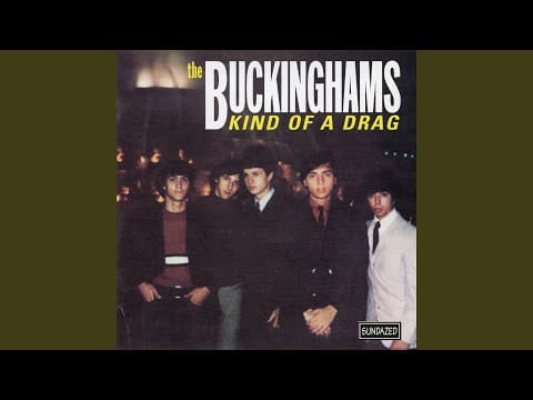 The Buckinghams — You Make Me Feel so Good