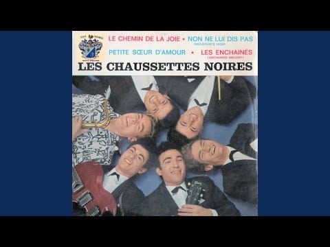 Les Chaussettes Noires — Petite soeur d'amour