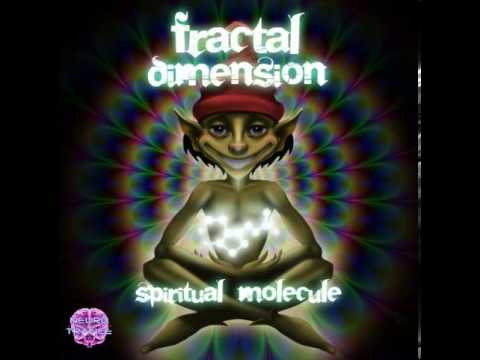 Fractal Dimension (2) — Fractal Dimension - EmbriOM