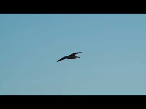 Audio Deluxe — audio deluxe - 60 seconds (dream mix) chillout