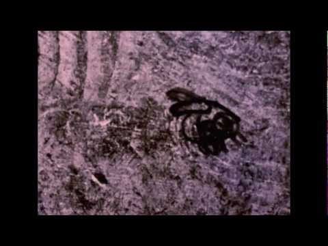 Schlaasss — La RÉCRÉE-SCHLAASSS