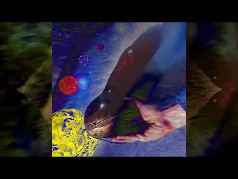 Siema Ziemia — Siema Ziemia - Vessel [VIDEO]