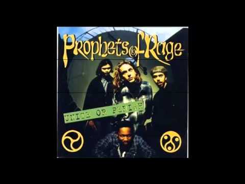 Prophets Of Rage — Prophets of Rage - Nevermore