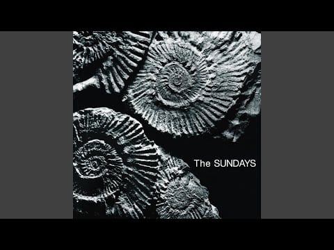 The Sundays — Skin & Bones