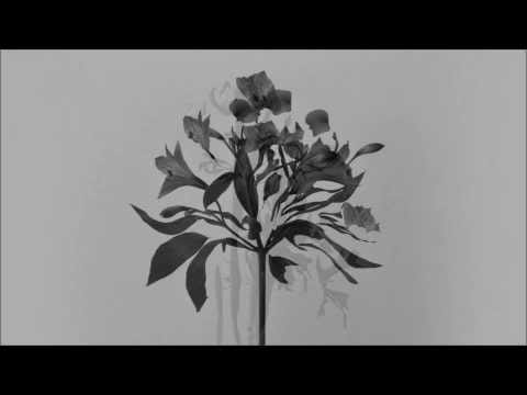 The Naked and Famous — The Naked and Famous - In Rolling Waves (Full Sampler)