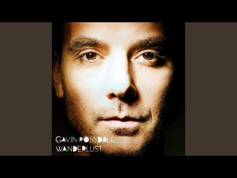 Gavin Rossdale — The Skin I'm In