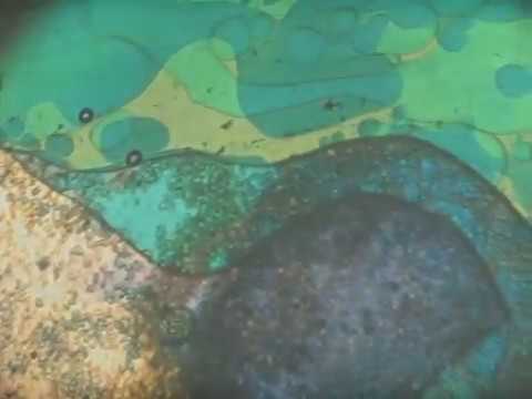 The Lancashire Hustlers — The Lancashire Hustlers - Underwater Memories (2018)