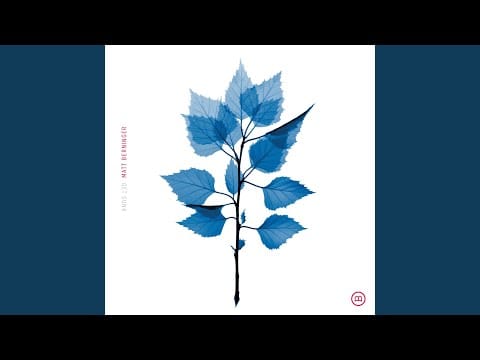 Matt Berninger — Frozen Oranges
