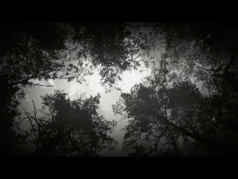Staruha Mha — Старуха Мха - Тая в тумане