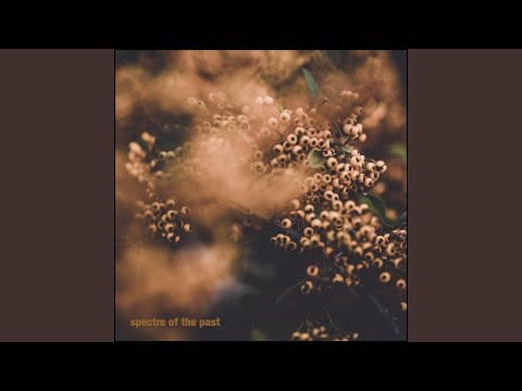 Tim Jackiw — Spectre Of The Past