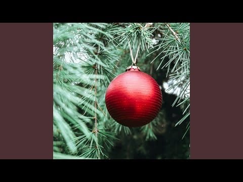 The Mistletoe Orchestra — Joy to the World