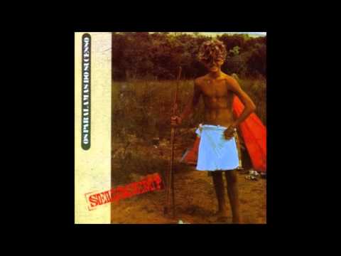 Os Paralamas Do Sucesso — Selvagem - Os Paralamas Do Sucesso