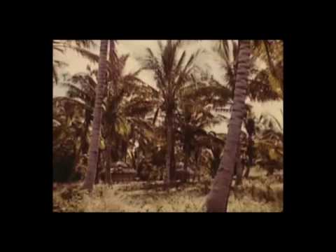 Metal Fingers — MF DOOM - BERGAMOT WILD