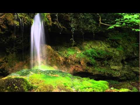 Neal Scarborough — Neal Scarborough - Sequoia (Daniel Kandi's Bangin' Mix)