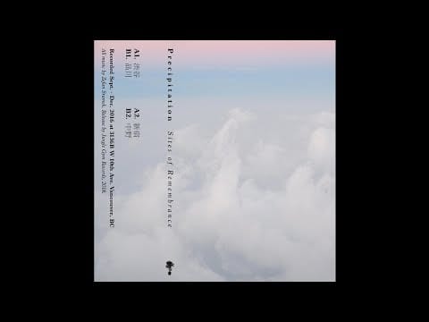Precipitation — Precipitation - 新宿 [JGT16]