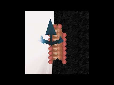 Wata Igarashi — Wata Igarashi - The Tunnel Dreams [RYCL024]