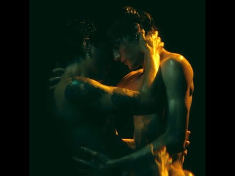The Irrepressibles — The Irrepressibles - Ecstasy Homosexuality (Official Video)