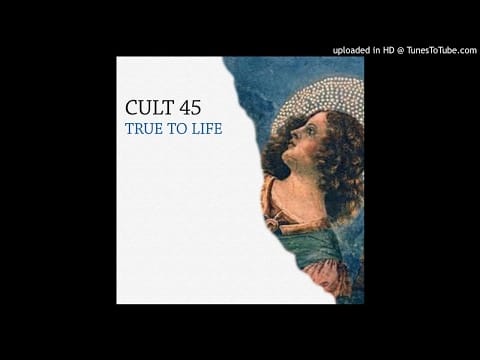 Cult 45 — Cult 45 - True To Life (My Digital Enemy Mix) HQ