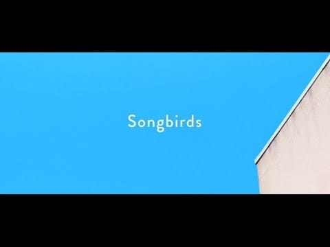 Homecomings — Homecomings - Songbirds（Official Music Video）