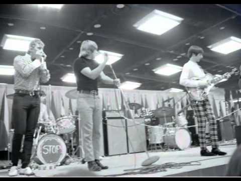 The Shadows Of Knight — Shadows of Knight Lightbulb Blues
