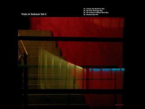 Triola — Triola - Ral 7035 (Dettinger Mix) (2005)