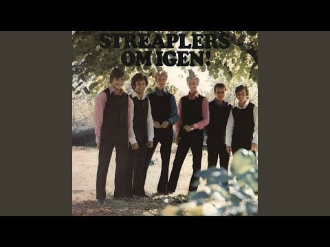 Streaplers — En enda kort minut