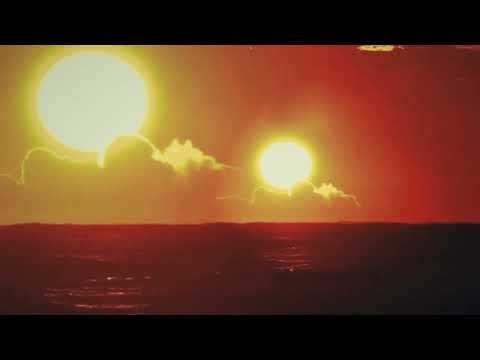 The WAEVE — Sunrise (Official Visualiser)