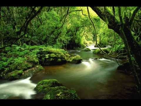 Baka Beyond — Baka Beyond - Spirit of the Forest