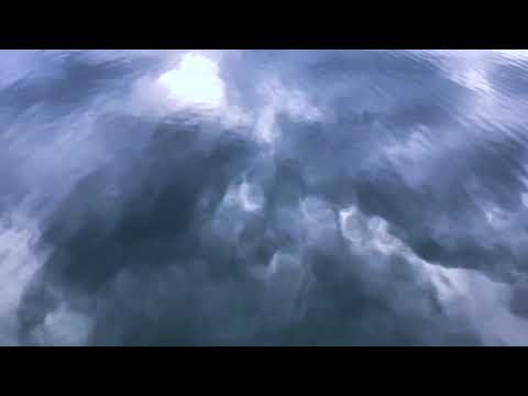 Liquid Canoe — Liquid Canoe - Ant Parade