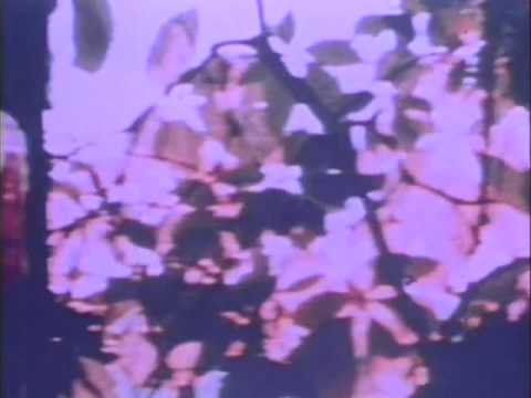 unhappybirthday — unhappybirthday - Blue Tornado