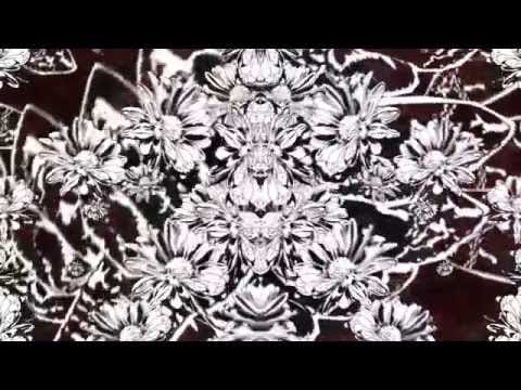 Tijuana Cartel — Tijuana Cartel - Still Fighting (feat. Richard Kaal)
