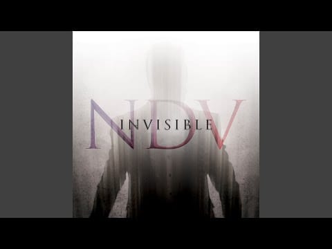 Nick D'Virgilio — Where's The Passion