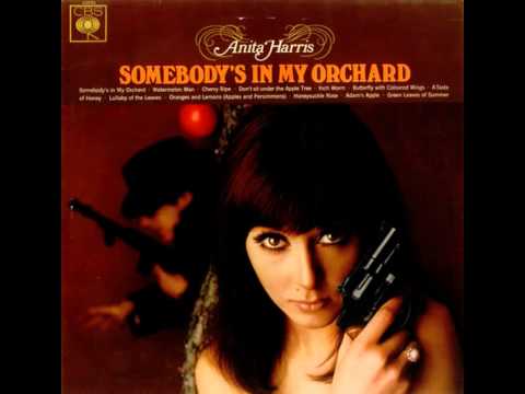 Anita Harris — Anita Harris - Butterfly With Coloured Wings (1966)