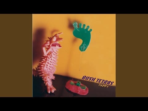Bush Tetras — Trip