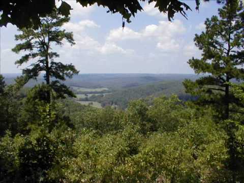 The Ozark Mountain Daredevils — Lowlands by The Ozark mountain Daredevils