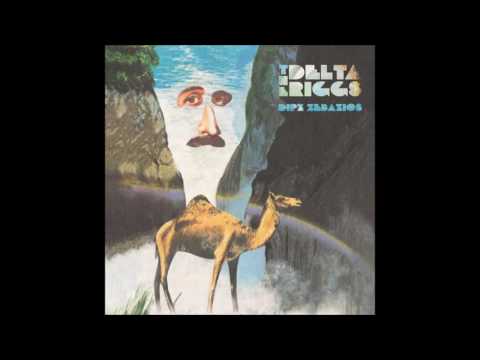 The Delta Riggs — The Delta Riggs   Bobby's Flowers