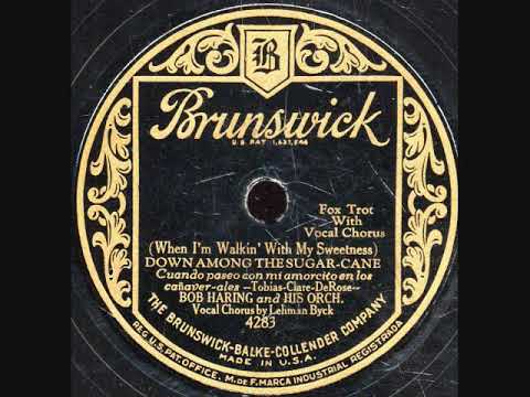 Bob Haring & His Orchestra — Down Among The Sugar Cane- Bob Haring Orchestra