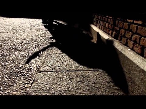 Gecko Turner — Gecko Turner - You Can't Own Me