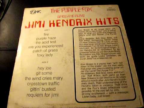 The Purple Fox — The Purple Fox: Gittin`busted / requiem for jimi