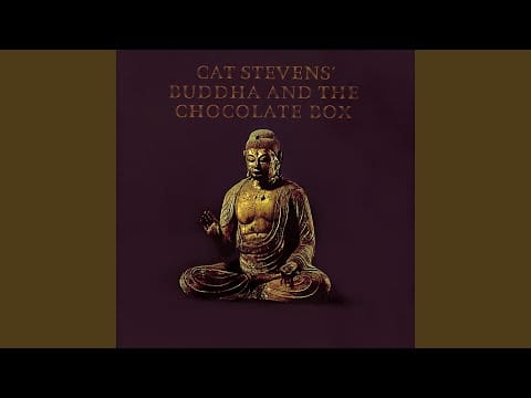 Cat Stevens — Jesus