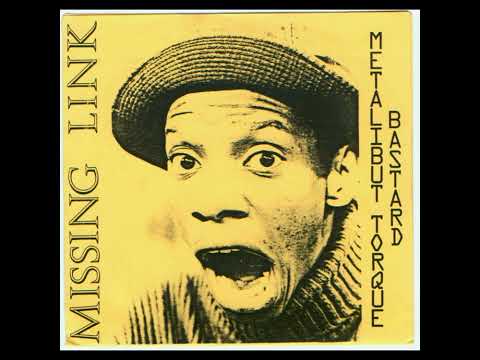 Missing Link (11) — Missing Link - Looking Ahead