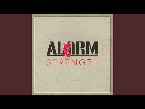 The Alarm — Majority