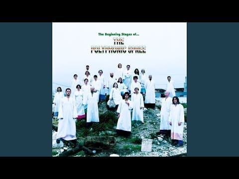 The Polyphonic Spree — Light & Day / Reach for the Sun