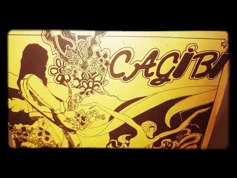 Cagibi — CAGIBI "riding along" garage fuzz (private french rock)