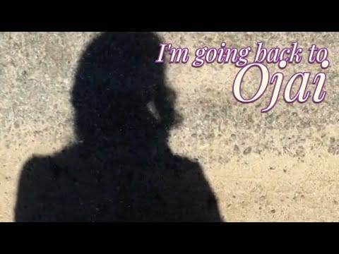 Honey Gentry — Ojai ♡ Honey Gentry