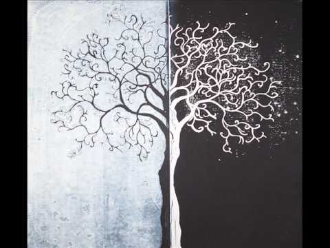 Newworldaquarium — Newworldaquarium Lovin U Peacefrog Records PFG019.wmv
