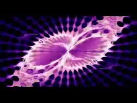 The Wishing Stones — The Wishing Stones - Wildwood