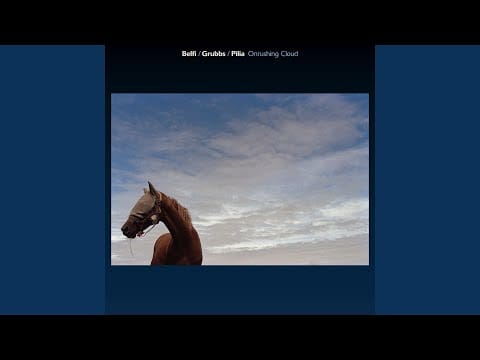 David Grubbs — Nitrated Out