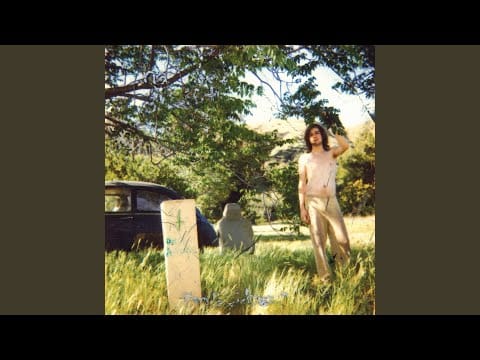 Ariel Pink’s Haunted Graffiti — The Doldrums