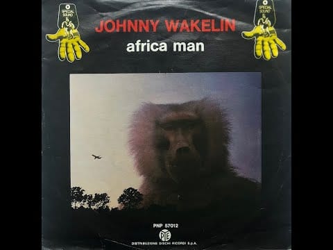 Johnny Wakelin — Johnny Wakelin - Afrika Man (1976 Vinyl)